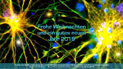 GLA 2019_480