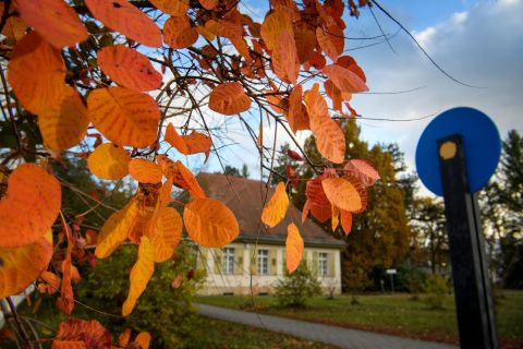 Herbst-480