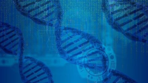 Bioinformatik-480